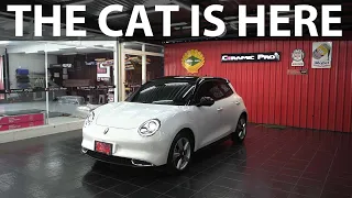 Getting CeramicPro treatment on Model 3 and borrowing Ora Funky Cat