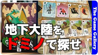 【ヴィヴァリウム】縦と横の位置調整がキーのセットコレクションゲーム / TGG ボードゲーム