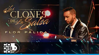 Flor Pálida, Los Clones - Video Oficial