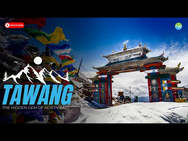 JustWravel Video 1