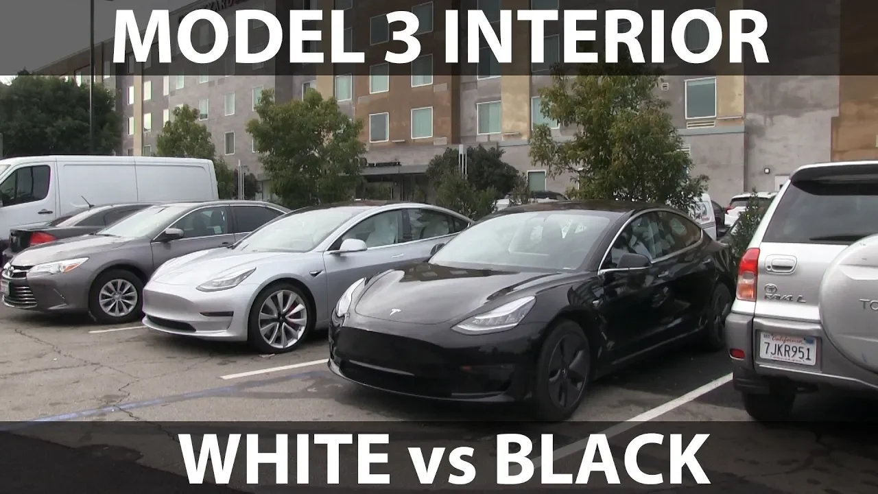 Model 3 white vs black interior, Performance vs standard