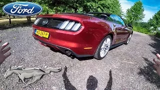Ford Mustang EcoBoost REVIEW POV Test Drive by AutoTopNL