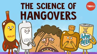 How does alcohol cause hangovers? - Judy Grisel