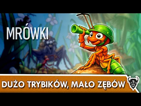 Mrówki – lekkie 4X, które próbuje zrobić zbyt wiele? | Pierwsze wrażenia