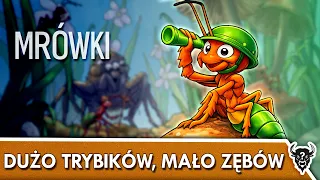 Mrówki – lekkie 4X, które próbuje zrobić zbyt wiele? | Pierwsze wrażenia