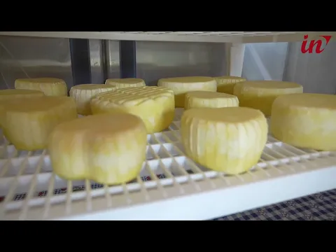Youtube Preview