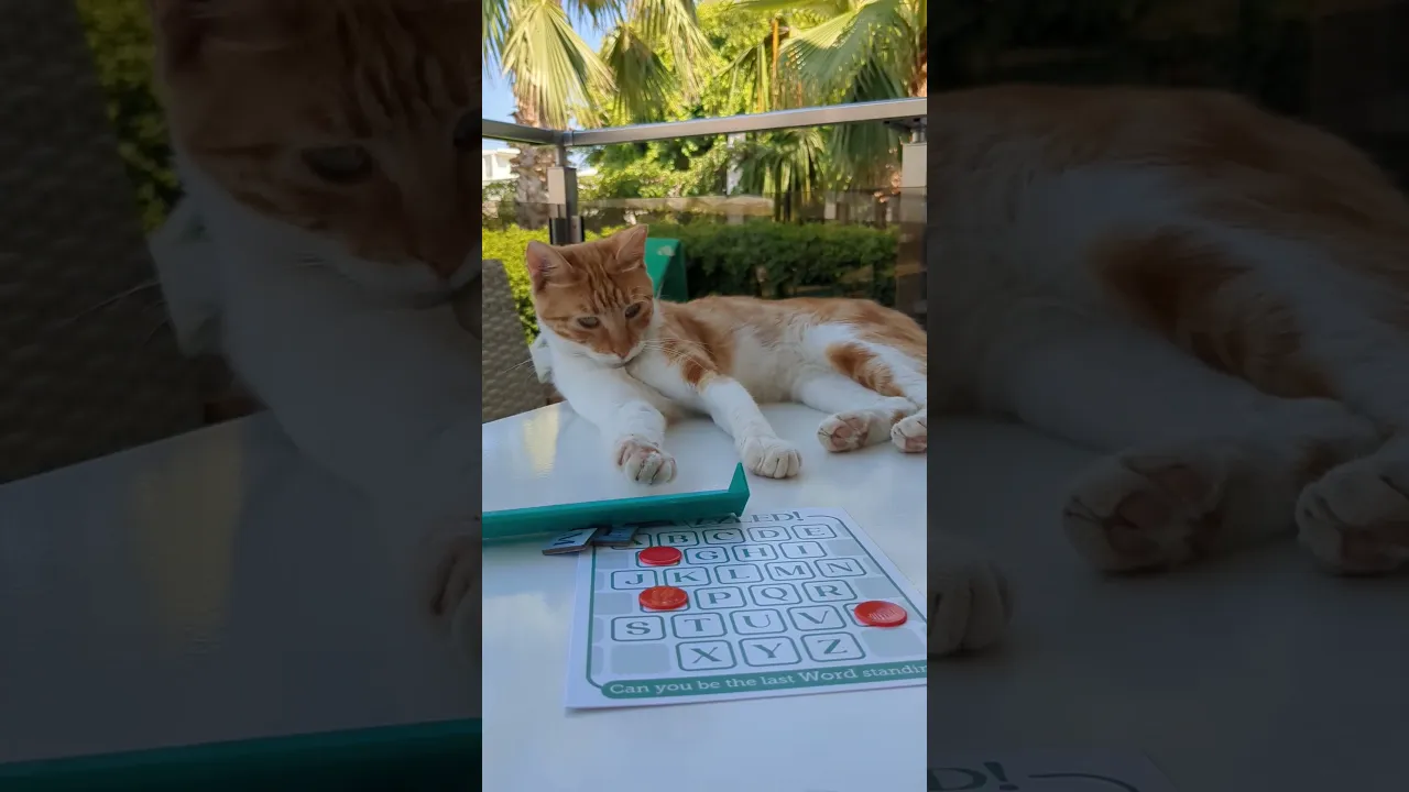 Never play WUZZLED! with Cats