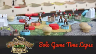 Spirit Island Board Game Solo time lapse /w content from all expansions
