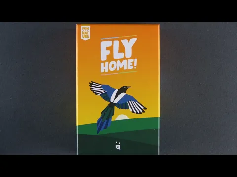 Herbstneuheit 2021 - Fly Home von Helvetiq - ein kooperatives Memory rund um Vogelerkennung - Review