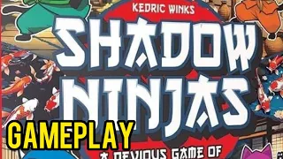 Shadow Ninjas, playthrough from Die Rollin'