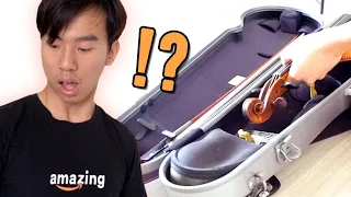 When You Forget to Close Your Violin Case Properly...
