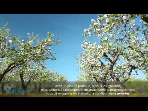 youtube-video-thumbnail