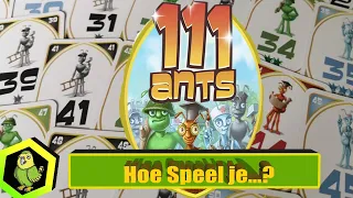 111 Ants
