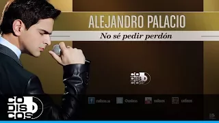No Sé Pedir Perdón, Alejandro Palacio - Audio
