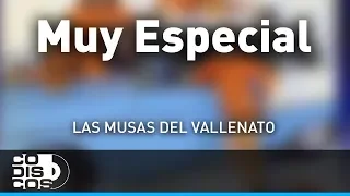 Muy Especial, Las Musas Del Vallenato - Audio