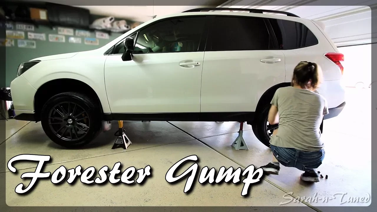 Showing My Forester Some Love // Automotive Detailing