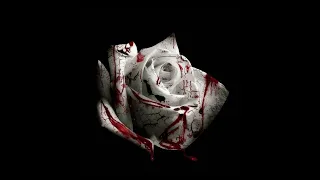 Thumbnail for Romantic Homicide - d4vd
