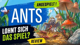 ANTS / Die Ameisen von Amyra | Angespielt & Review | Kleine Ameisen - Große Strategie :-)