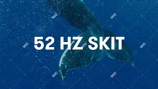 Sokół - 52Hz skit (Official Audio)
