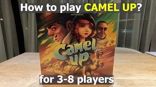 Play as you Watch Tutorial - Camel Up Boardgame by Look Out Games (4K) Guide #boardgames #tutorial