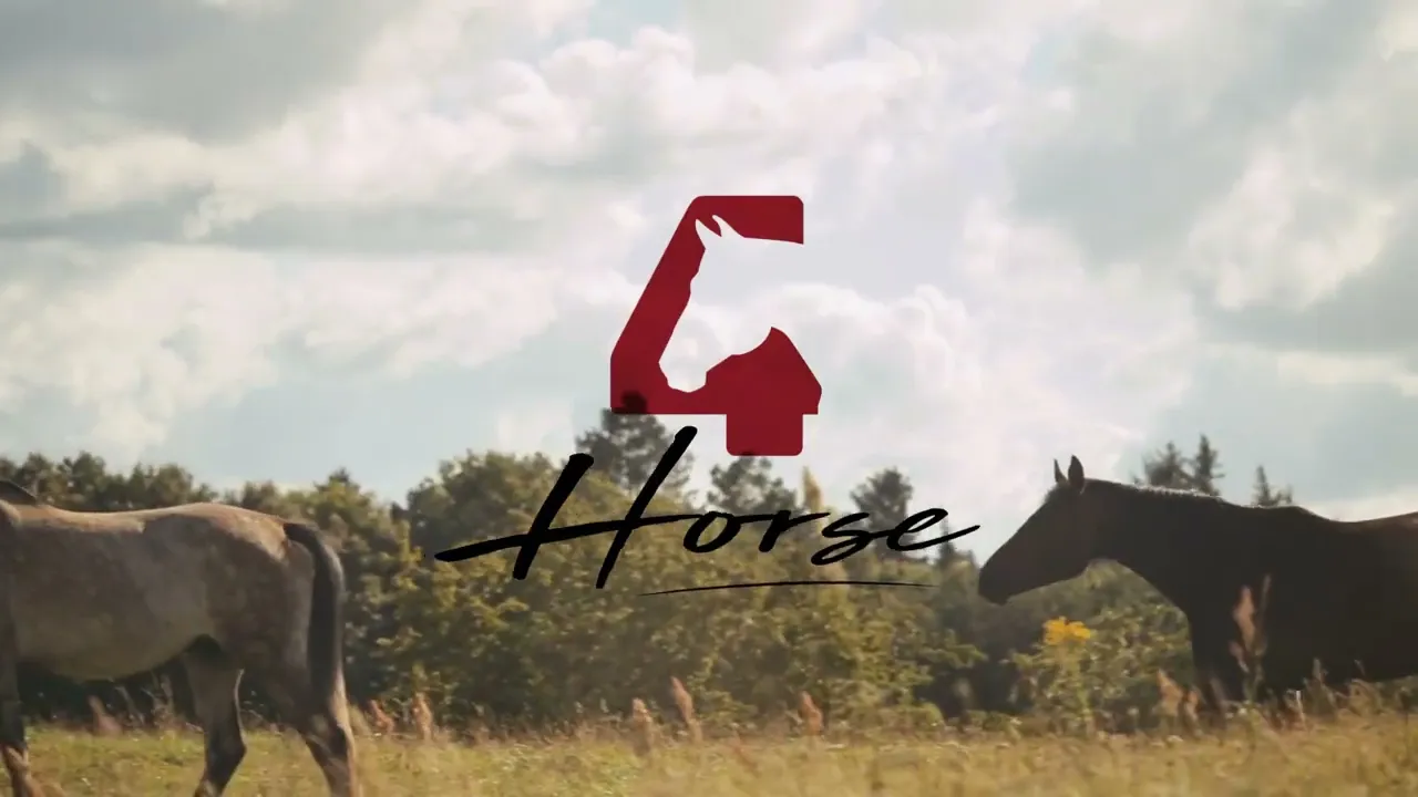 Vídeo de 4Horse