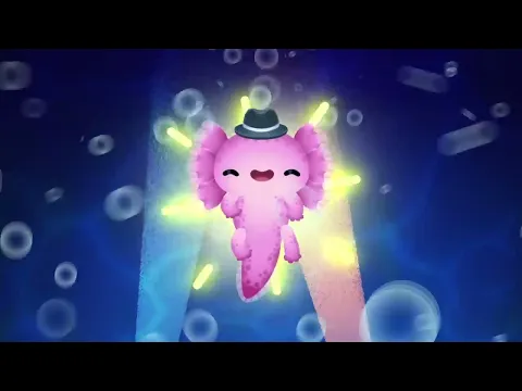 Axolochi videó