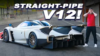 My First Pagani Review!