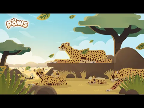 PAWS Gameplay Trailer