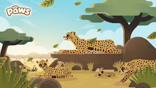 PAWS Gameplay Trailer