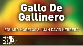 Gallo De Gallinero, Eduard Morelos Y Juan David Herrera - Audio
