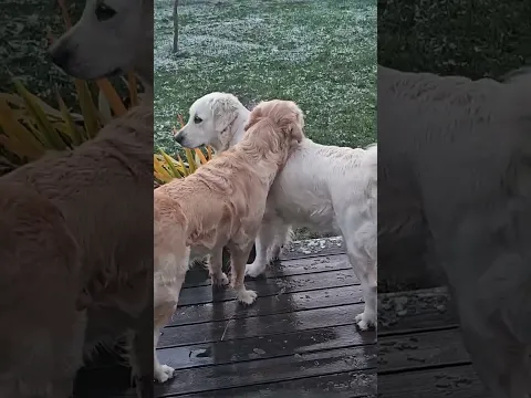 youtube-video-thumbnail