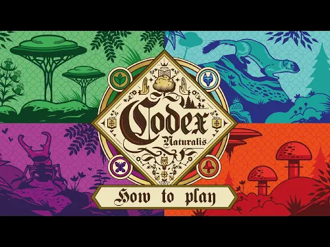 Rules explanations in a few minutes