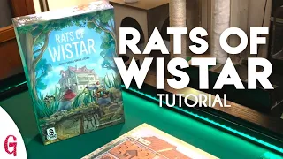Ratti di Wistar Tutorial: il GIOCO IN SCATOLA dei topini intelligenti che conquistano "il mondo"