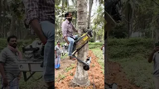 This is a lot faster than shaking the tree...🤯🌴 I 🎥: @Farmerzonemart-fzmart #trees #machinery