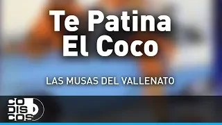 Te Patina El Coco, Las Musas Del Vallenato - Audio