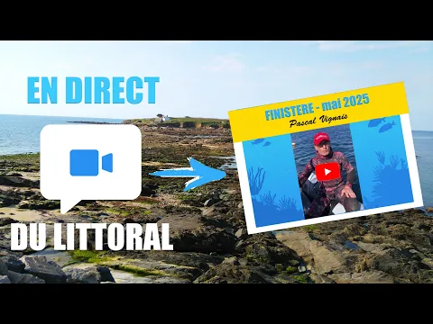 Vignette de la vidéo