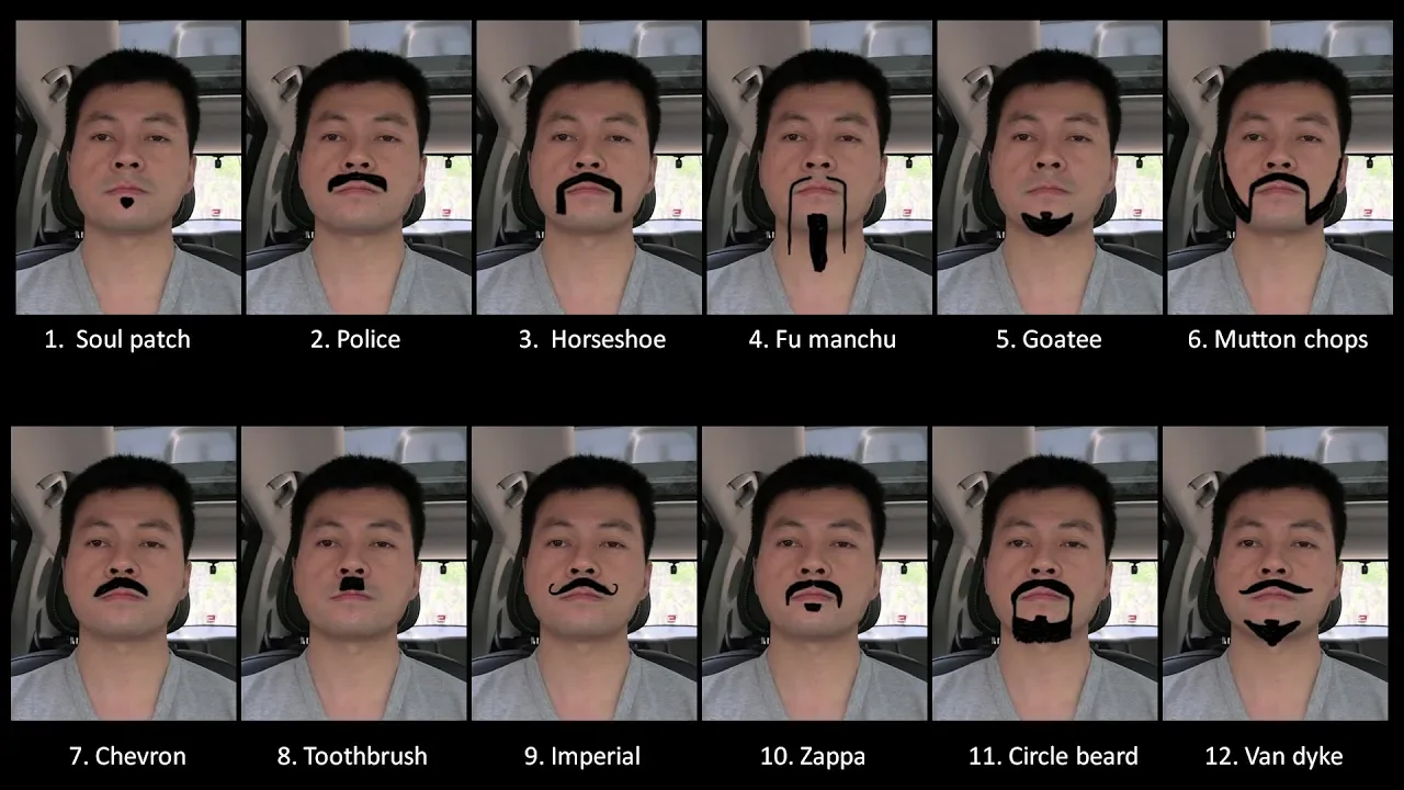 Which beard style should I go for?