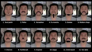 Which beard style should I go for?