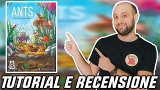 Tutorial e Recensione ANTS - Il GESTIONALE sulle FORMICHE!