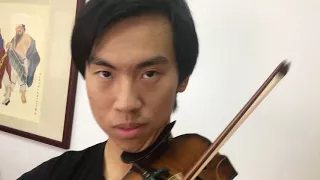 How to play Harmonics on Violin.... BTS style
