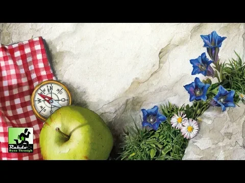 Spring Meadow Gameplay Runthrough