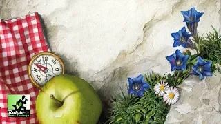 Spring Meadow Gameplay Runthrough