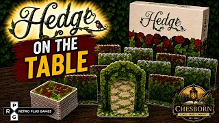 Hedge - So Pretty on the Table