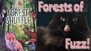 Let's Play: Forest Shuffle with Fuzzy Noodle
