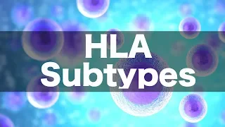 HLA Subtypes & Associations