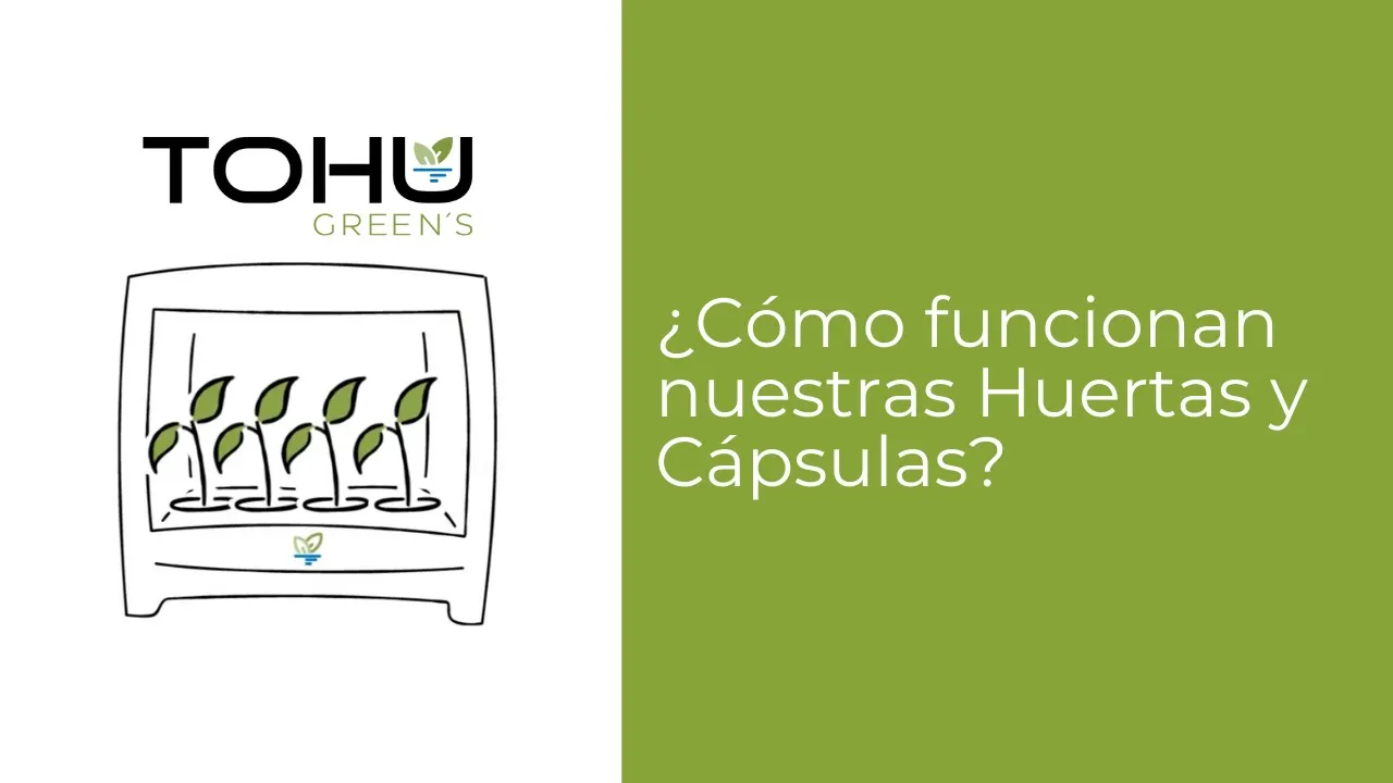 Video de Tohu Green's - Huertas hidropónicas y microgreens
