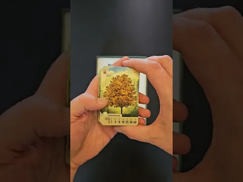 Forest Shuffle - Unboxing
