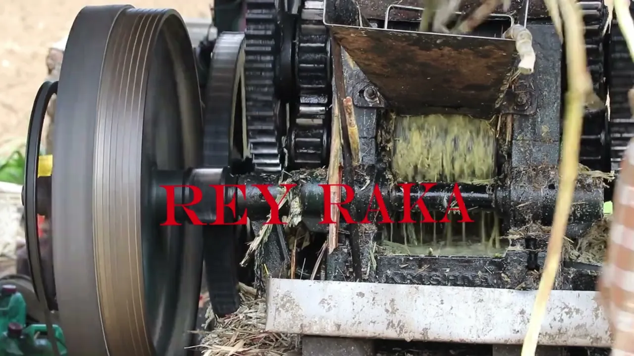 Video de Rey Raka