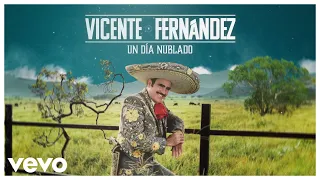 Vicente Fernández - Un Día Nublado (Video Lyrics)