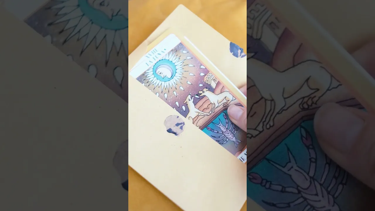 Video de Tienda FE